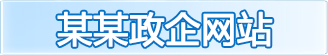 某某政企网站