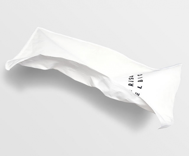 Papper Bag MockUp